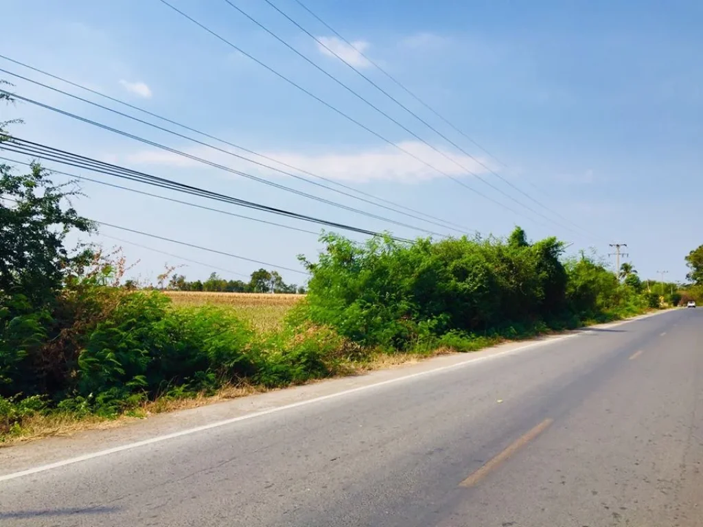 ที่ดินโฉนด 2-3 ไร่ ติดถนน นำ้ไฟ