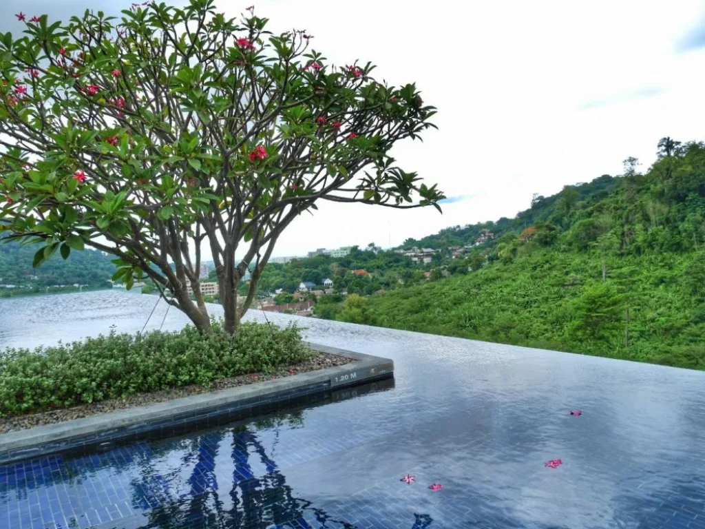 ให้เช่าขาย เดอะเบสไฮท์ คอนโดหรูใจกลางเมืองภูเก็ต The Base Height condo Phuket