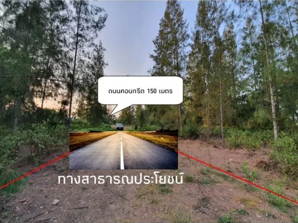 ที่ดินจัดสรร ปราณบุรี อยู่หลัง รีสอร์ทวีนัส พร้อมขาย แบ่งแยกเอกสารเรียบร้อย 60 ตรว