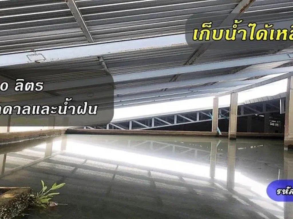 ลดให้เลย 7 ล้าน โรงงาน 4 ไร่ รีโนเวทเหมือนใหม่ พร้อมใบ รง4 ฟอกยีนต์ ระบบน้ำครบถ้วน ใกล้พระราม 2 - ขายโรงงานสมุทรสาคร