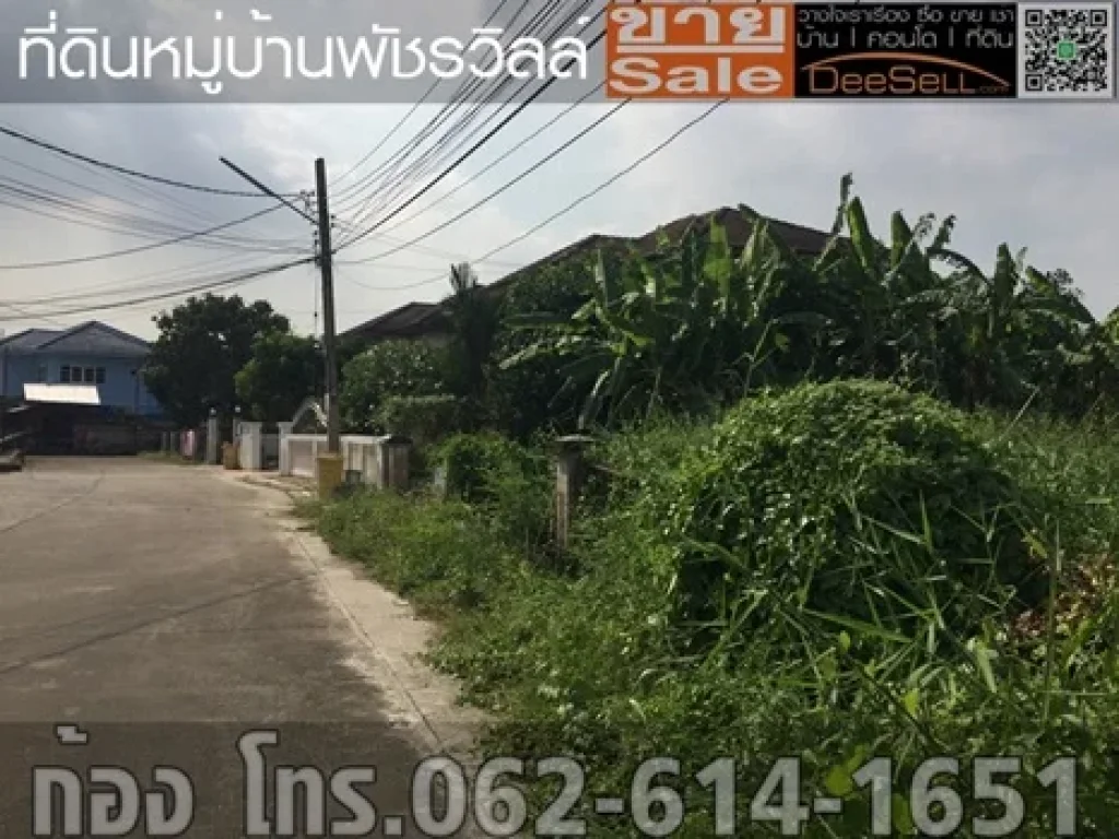 ขายที่นนทบุรี 1548ตรวๆละ30000บ เหมาะแก่การพักอาศัย พัชรวิลล์ บางกรวย-ไทรน้อย ใกล้ถรัตนาธิเบศร์