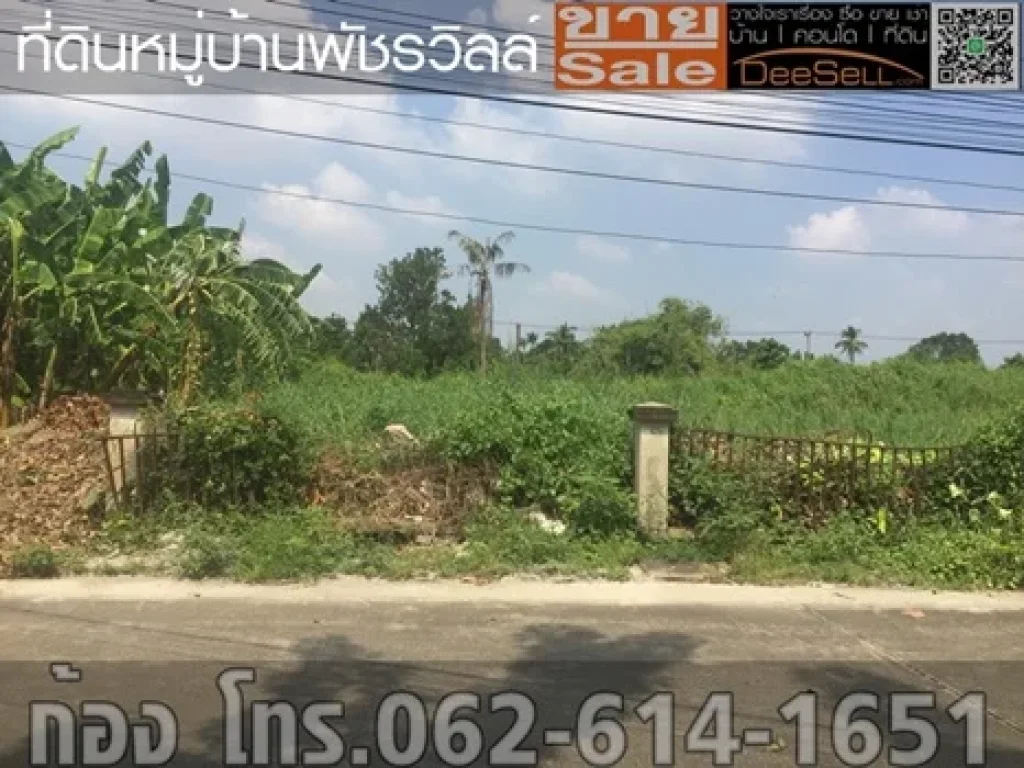 ขายที่นนทบุรี 1548ตรวๆละ30000บ เหมาะแก่การพักอาศัย พัชรวิลล์ บางกรวย-ไทรน้อย ใกล้ถรัตนาธิเบศร์