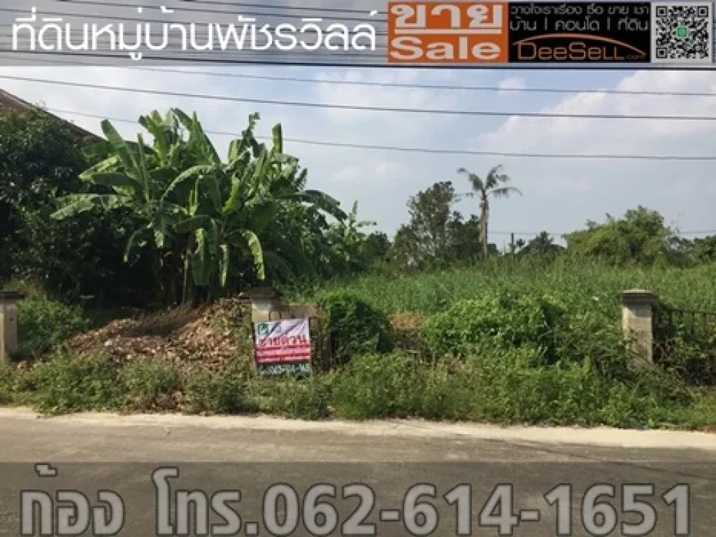 ขายที่นนทบุรี 1548ตรวๆละ30000บ เหมาะแก่การพักอาศัย พัชรวิลล์ บางกรวย-ไทรน้อย ใกล้ถรัตนาธิเบศร์