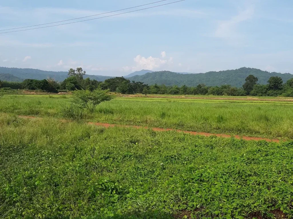 ขายที่ดินวิวเขาใหญ่แปลงมุม เมือง นครนายก