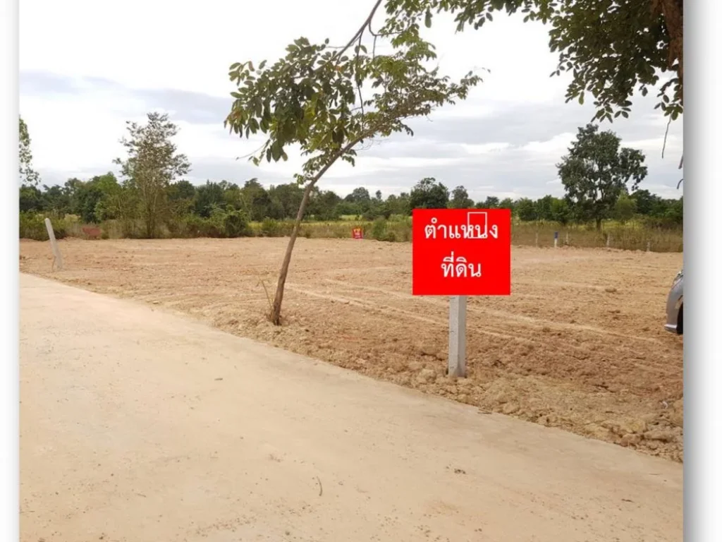 ขาย ที่ดิน 141 ตรวา C71-2 ใกล้ตัวอำเภอกุดจับ 141 sqwa land at Kudchab District Udonthani Province for sale