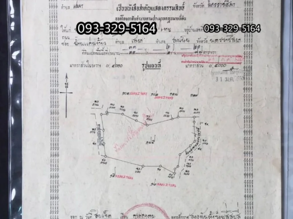 ขายที่ดิน 33-2-20ไร่ อสูงเนิน จนครราชสีมา เหมาะทำฟาร์ม ที่ดินทำฟาร์ม สูงเนิน