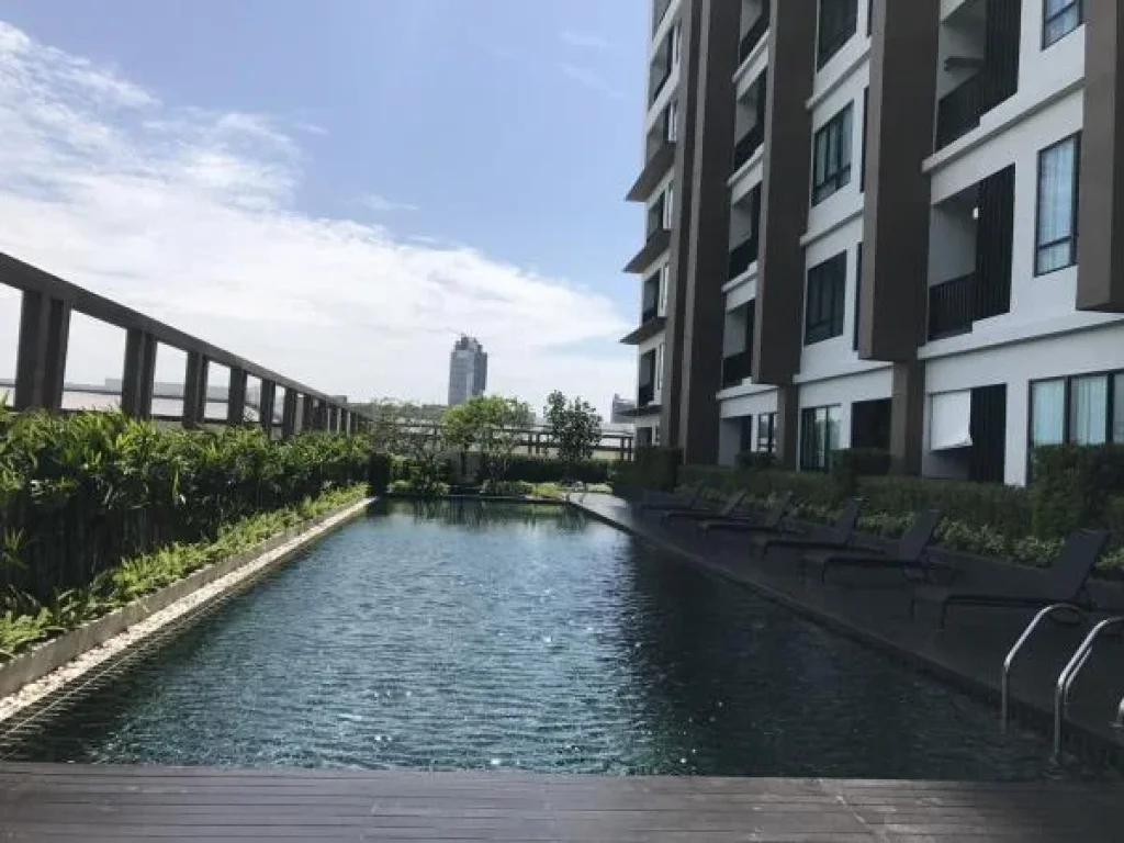 ขาย ให้เช่า Rent amp Sold The sky condo Sriracha Full furnish ชั้น 6th Floor swimming pool view