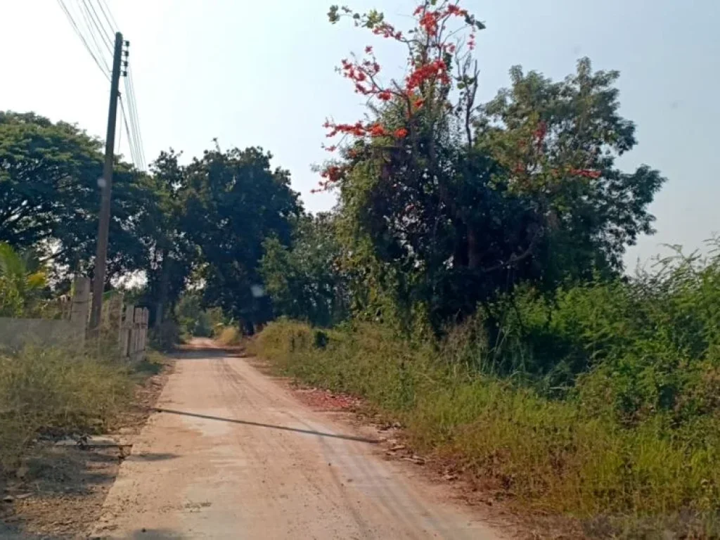 ขายที่ดินบ้านมอญ ใกล้เรือนแพ 1 สันกลาง สันกำแพงเชียงใหม่