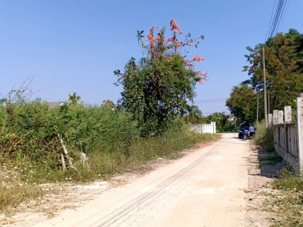 ขายที่ดินบ้านมอญ ใกล้เรือนแพ 1 สันกลาง สันกำแพงเชียงใหม่