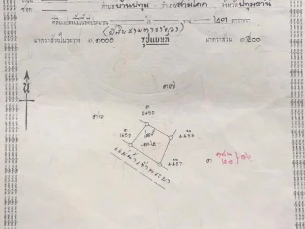 ขายที่ริมแม่น้ำเจ้าพระยา 169 ตรว มีที่งอกริมน้ำประมาณ 200 ตรว เหมาะกับการปลูกบ้านริมน้ำ สงบร่มรื่น