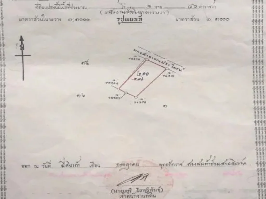 ขายที่ริมแม่น้ำเจ้าพระยา 169 ตรว มีที่งอกริมน้ำประมาณ 200 ตรว เหมาะกับการปลูกบ้านริมน้ำ สงบร่มรื่น