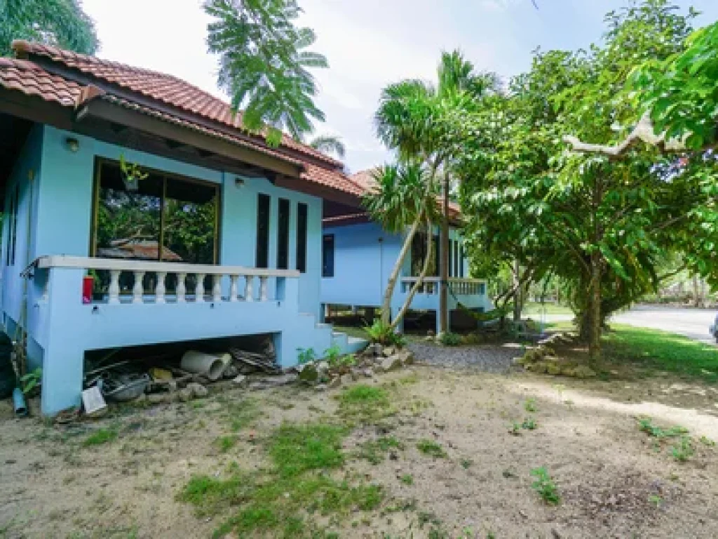 Sell House 2 house in Lamai area KOh Samui Surat Thani Thailand