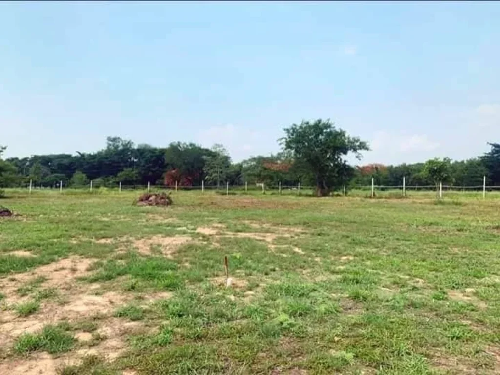 ขายที่ดินจัดสรร สันพระเนตรสันทรายเชียงใหม่