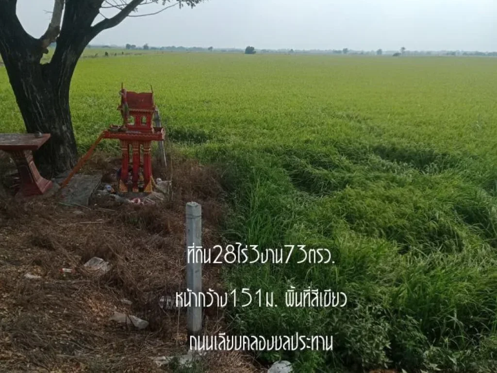 ขายที่ดิน28ไร่3งาน73ตรว หน้ากว้าง151มติดถนนเลียบคลองชลประทาน ตบางปลา อบางเลน จนครปฐม