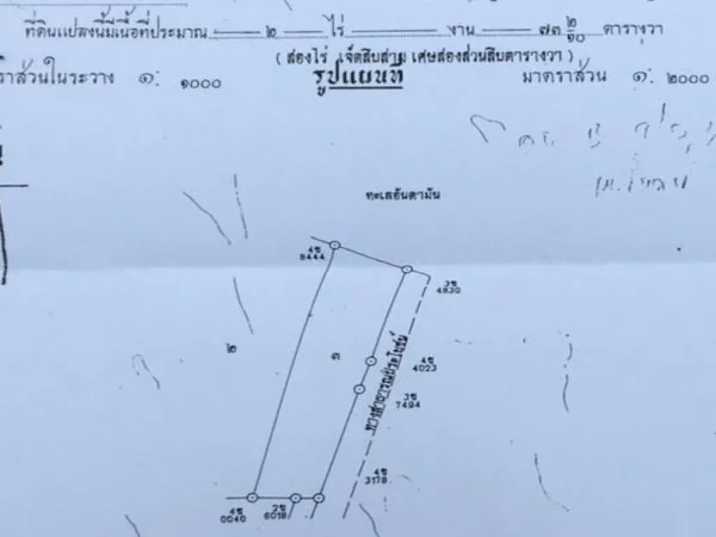 เสนอขายที่ดินติดทะเล เกาะโหลน ภูเก็ต เนื้อที่ 2-0 73 ไร่