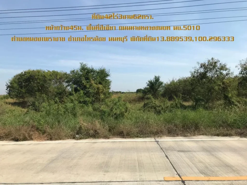 ขายที่ดิน42ไร่3งาน62ตรวหน้ากว้าง93มติดถนนทางหลวงชนบท นบ5010 ตหนองเพรางาย อไทรน้อย จนครปฐม