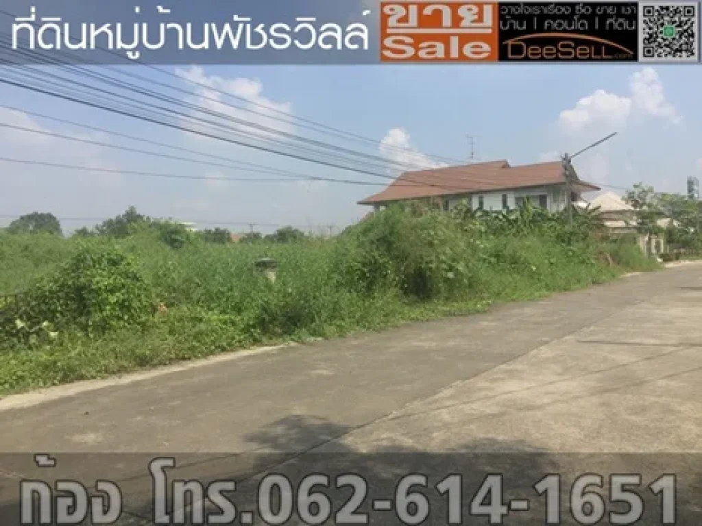 ขายที่ดินถมแล้ว ถบางกรวย-ไทรน้อย นนทบุรี 1งาน 548ตรว 1548ตรว หมู่บ้านพัชรวิลล์ 30000บตรว