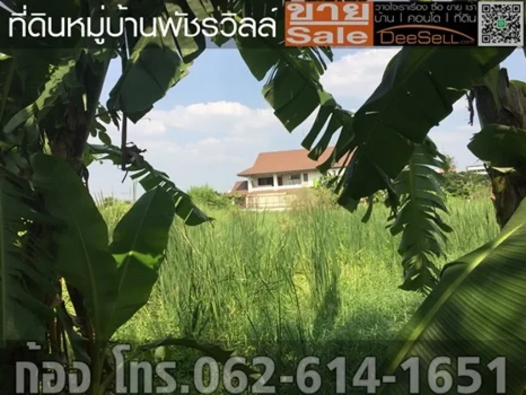 ขายที่ดินถมแล้ว ถบางกรวย-ไทรน้อย นนทบุรี 1งาน 548ตรว 1548ตรว หมู่บ้านพัชรวิลล์ 30000บตรว