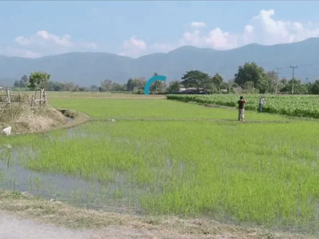 ขายที่นาวิวดอยติดถนนคอนกรีต แม่ออนสันกำแพง เชียงใหม่