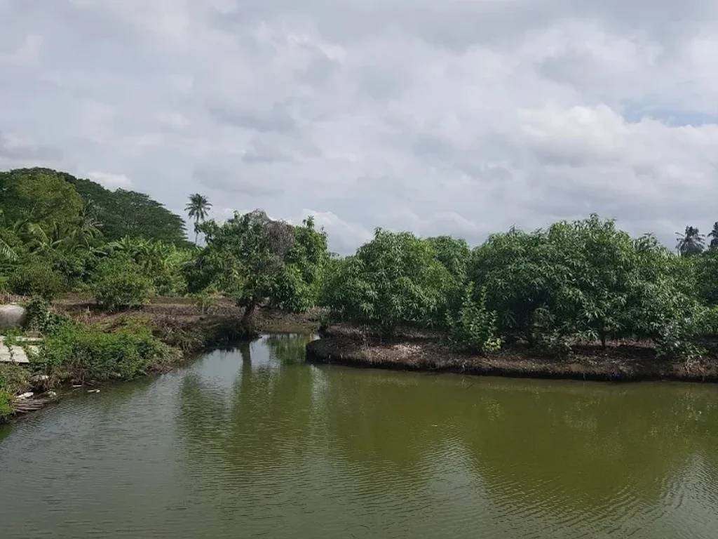 ขายที่ดิน 2 ไร่สวนมะม่วงพร้อมบ้านเดี่ยว 2 ชั้น สามพราน นครปฐม