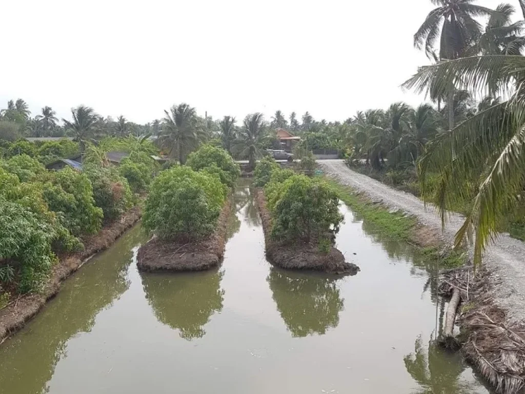 ขายที่ดิน 2 ไร่สวนมะม่วงพร้อมบ้านเดี่ยว 2 ชั้น สามพราน นครปฐม