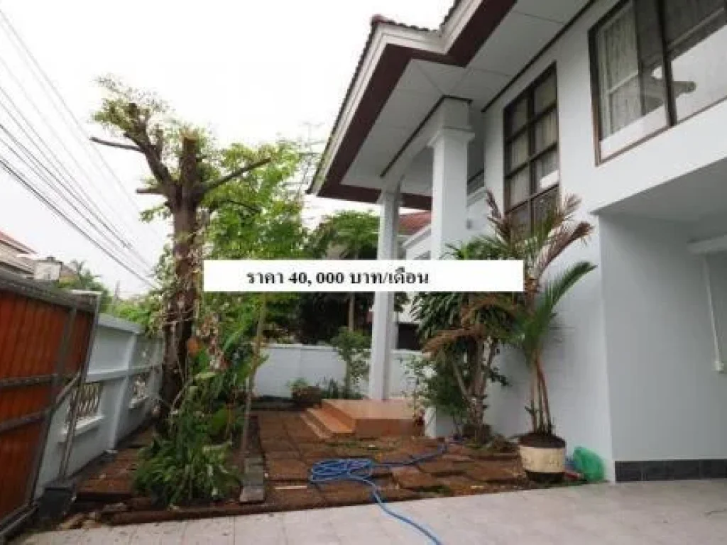 For Rent บ้านเดี่ยวพร้อมอยู่ รามคำแหง 431