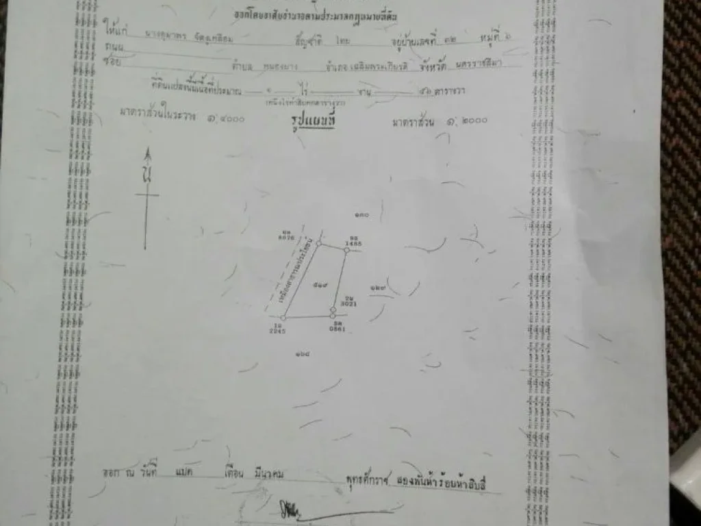 ขายที่ดินถมแล้วสำหรับสร้างบ้าน ปลูกผัก ทำสวน โฉนด 1 ไร่ 56 ตรว ใกล้ถนนดำ ใกล้ชุมชน มีไฟฟ้า ประปา