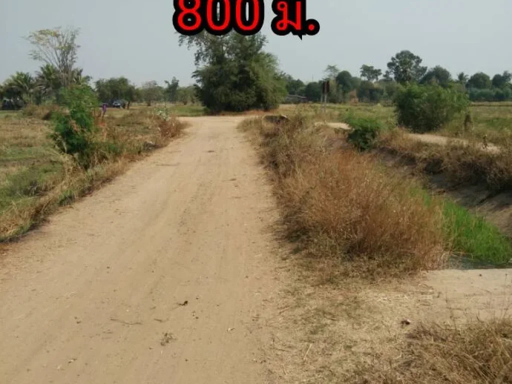 ขายที่ดินสำหรับทำการเกษตร บรรยากาศดี ดิน น้ำ อุดมสมบูรณ์ ใกล้สถานที่ราชการหลายแห่ง อเฉลิมพระเกียรติ จนครราชสีมา