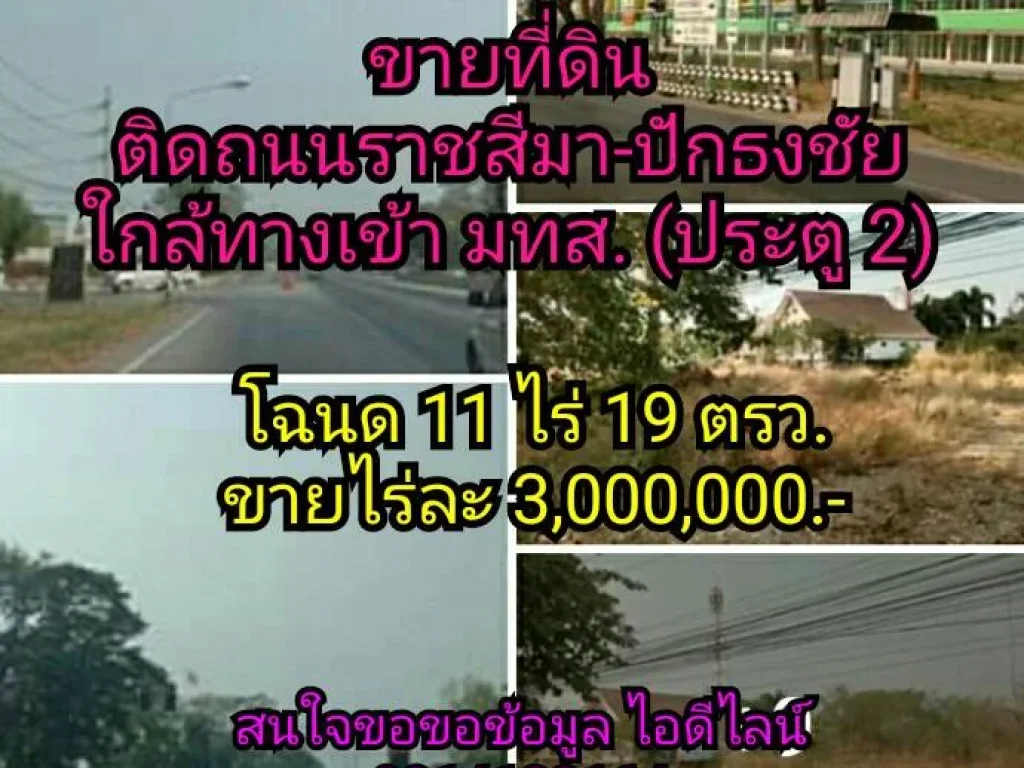 ขายที่ดินติดถนน 304 ราชสีมา-ปักธงชัย ใกล้ทางเข้ามหาวิทยาลัยเทคโนโลยีสุรนารี ประตู 2 ตไชยมงคล อเมืองนครราชสีมา