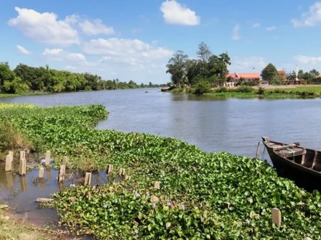 ขายที่ดิน ติดแม่น้ำบางปะกง ตบางยาง ปราจีนบุรี ID7653357