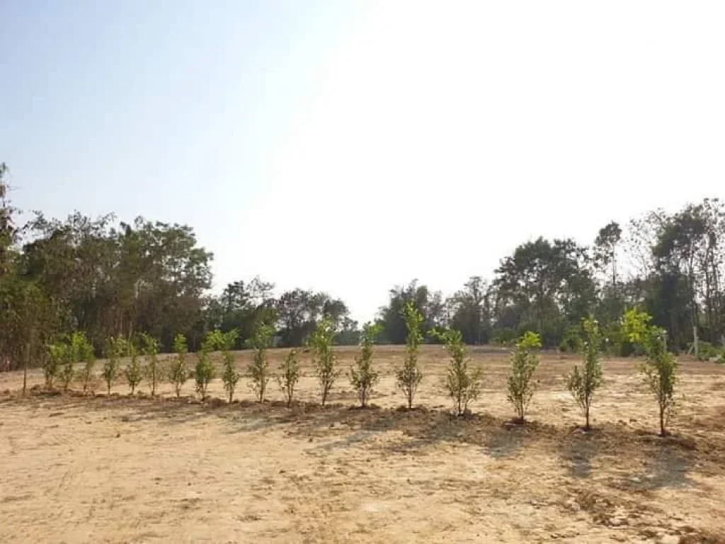 ขายที่ดินห่าเทศบาลสันปูเลย 1km ดอยสะเก็ตเชียงใหม่