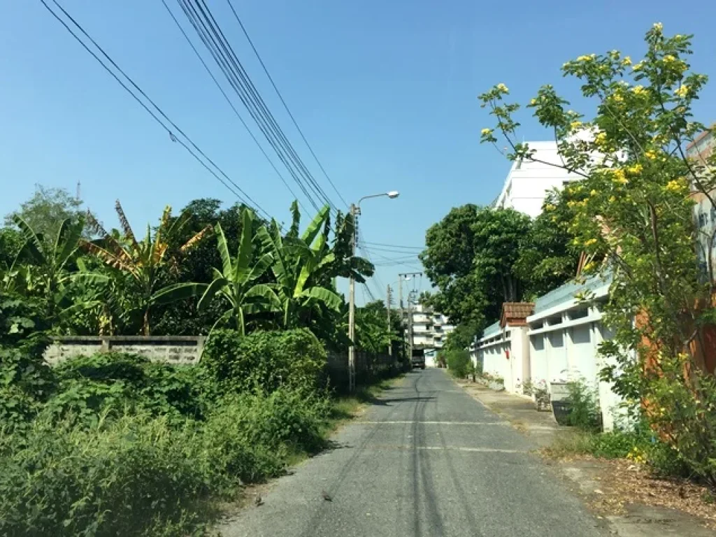 ที่ดิน ถนนพหลโยธิน461 รถไฟฟ้า โลตัส เซนทรัล รามอินทรา แจ้งวัฒนะ 279 ตรว