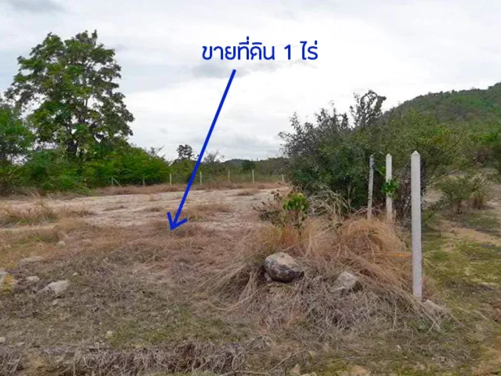 ขายที่ดินเขตเทศบาลหัวหิน 1 ไร่ 299 ล้านบาท