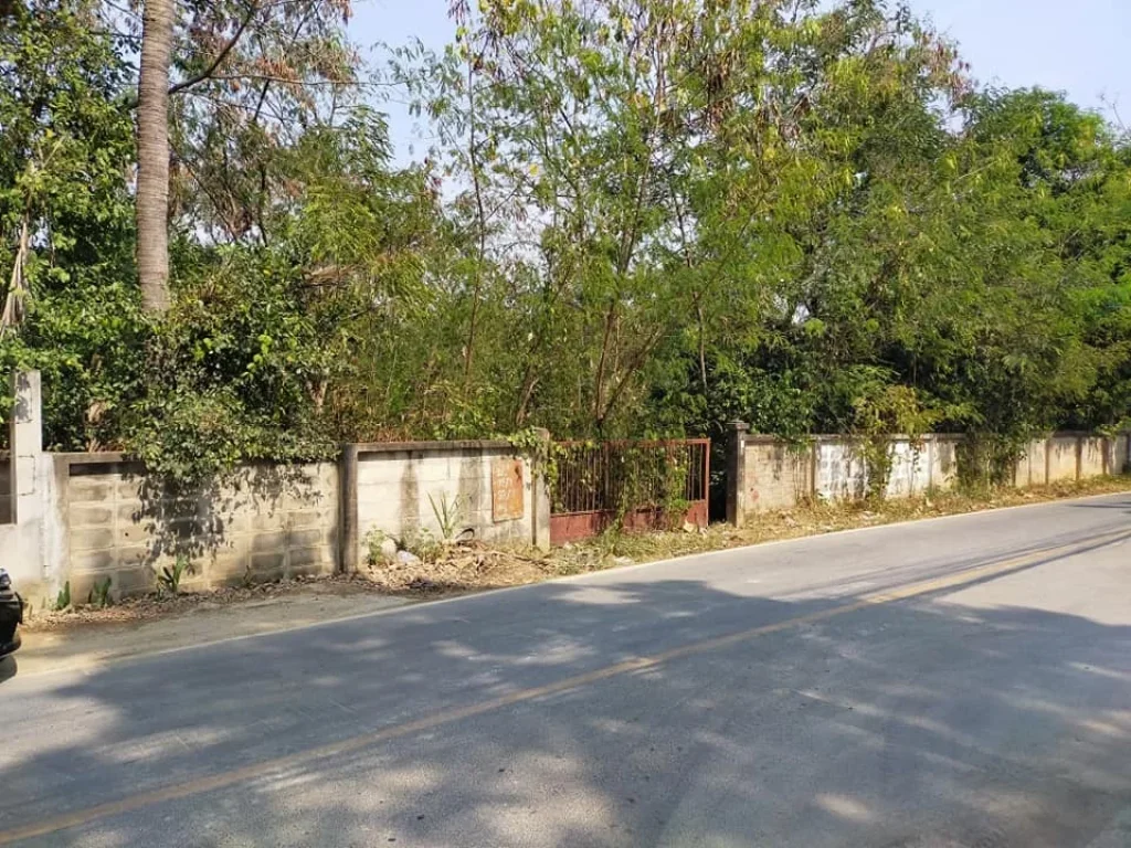 ขายที่ดินในหมู่บ้านร้องเรือนคำ ติดถนนคอนกรีต อำเภอเมืองเชียงใหม่