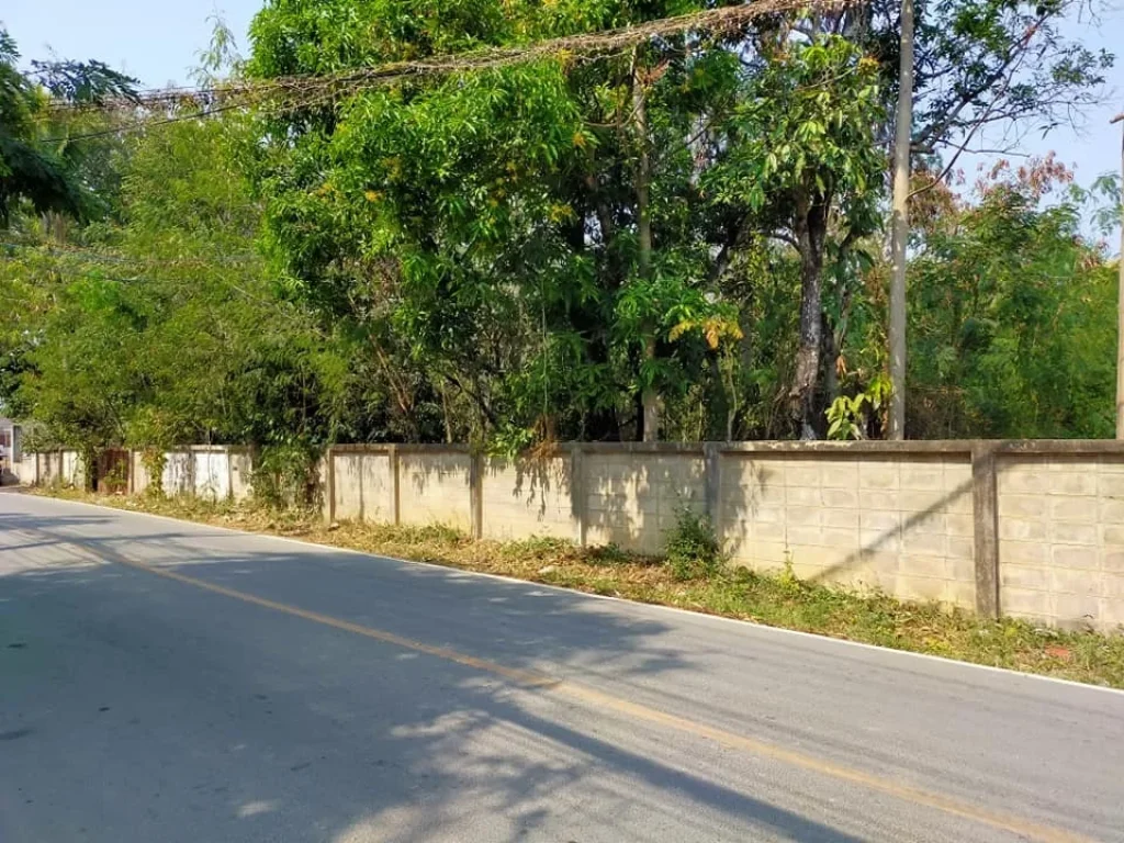 ขายที่ดินในหมู่บ้านร้องเรือนคำ ติดถนนคอนกรีต อำเภอเมืองเชียงใหม่