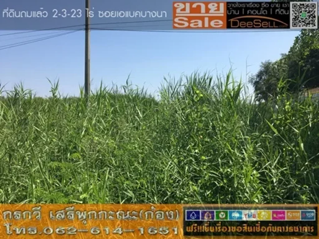 ขายที่ดินสวยซเอแบคบางนา ติดทางสาธารณะ2ด้าน ติดบึงธรรมชาติ ใส สะอาด ใกล้สนงที่ดินสมุทรปราการ บางพลี