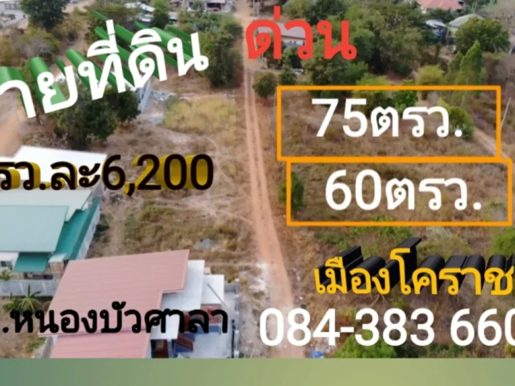 ขายที่ดินถูก 60 และ75 ตรว บหนองตาคง ตหนองบัวศาลา ติดเขตฯสุระนารี เมือง นครราชสีมา L-06 ไกล้ มเคียงเขต