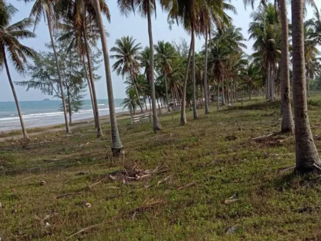 ขายที่ดินติดหาดทะเล 9 ไร่ ทำเลสวย บางสะพานน้อย ประจวบคีรีขันธ์