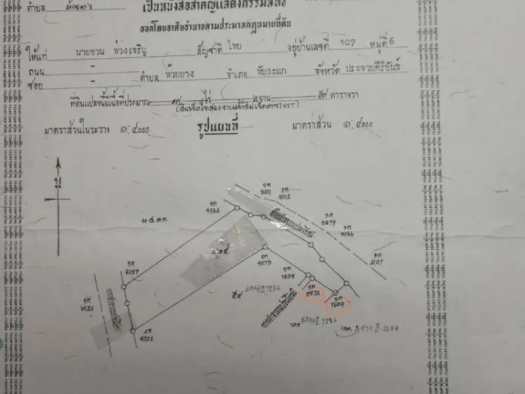 SS083 ขายที่ดิน 76 ไร่ ทับสะแก ประจวบคีรีขันธ์ ที่ดินติดถนน มีที่งอก ราคาถูกที่สุด