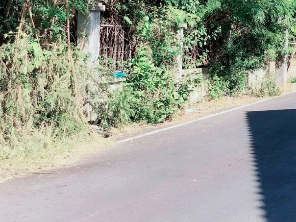 ขายที่ดินติดถนนคอนกรีต กาดวรุณแม่เหียะเชียงใหม่