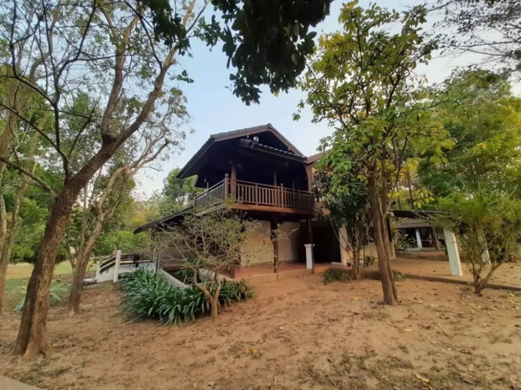 For RENT Big Beautiful Wooden house in the tropical style garden At Changpuek area Best deal