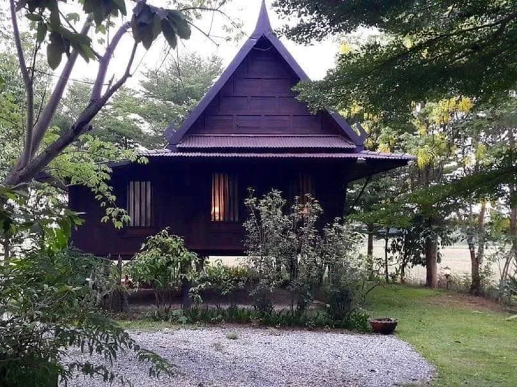 ขาย homestay resort สวย สงบ ร่มรื่น แวดล้อมไปด้วยธรรมชาติที่ยังคงความงดงามของเชียงใหม่ ตั้งอยู่ในพื้นที่ตำบลสันโป่ง อำเภอแม่ริม จังหวัดเชียงใหม่