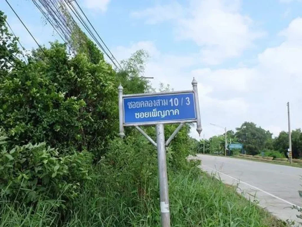 ขายที่ดินคลองสาม อคลองหลวง จปทุมธานี 192 ตรว ถนนเรียบคลองสาม ซอย 103 เพ็ญภาค