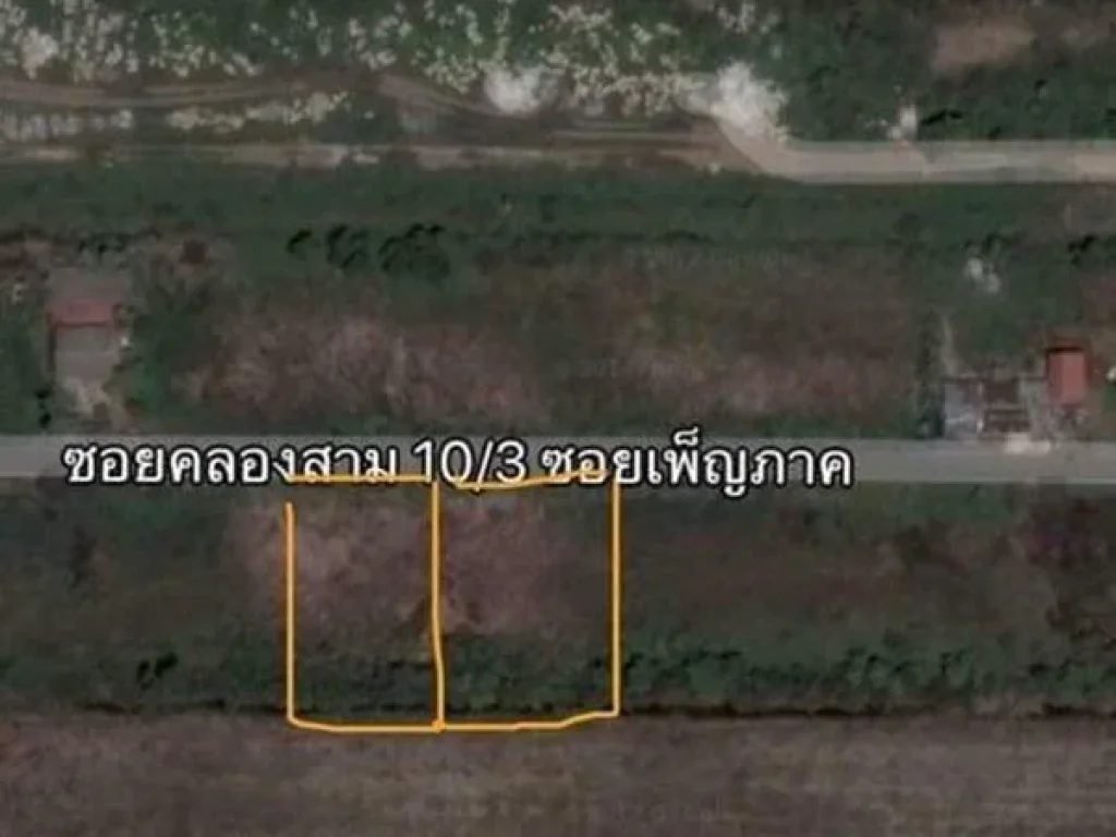 ขายที่ดินคลองสาม อคลองหลวง จปทุมธานี 192 ตรว ถนนเรียบคลองสาม ซอย 103 เพ็ญภาค