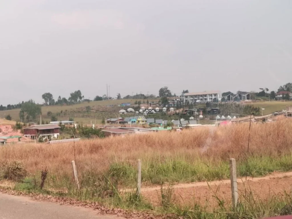 ที่ดินเขาค้อ KhaoKho Land ที่ดิน แบ่งขาย เขาค้อ เพชรบูรณ์ แปลงสวย วิวทะเลหมอก บรรยากาศดี