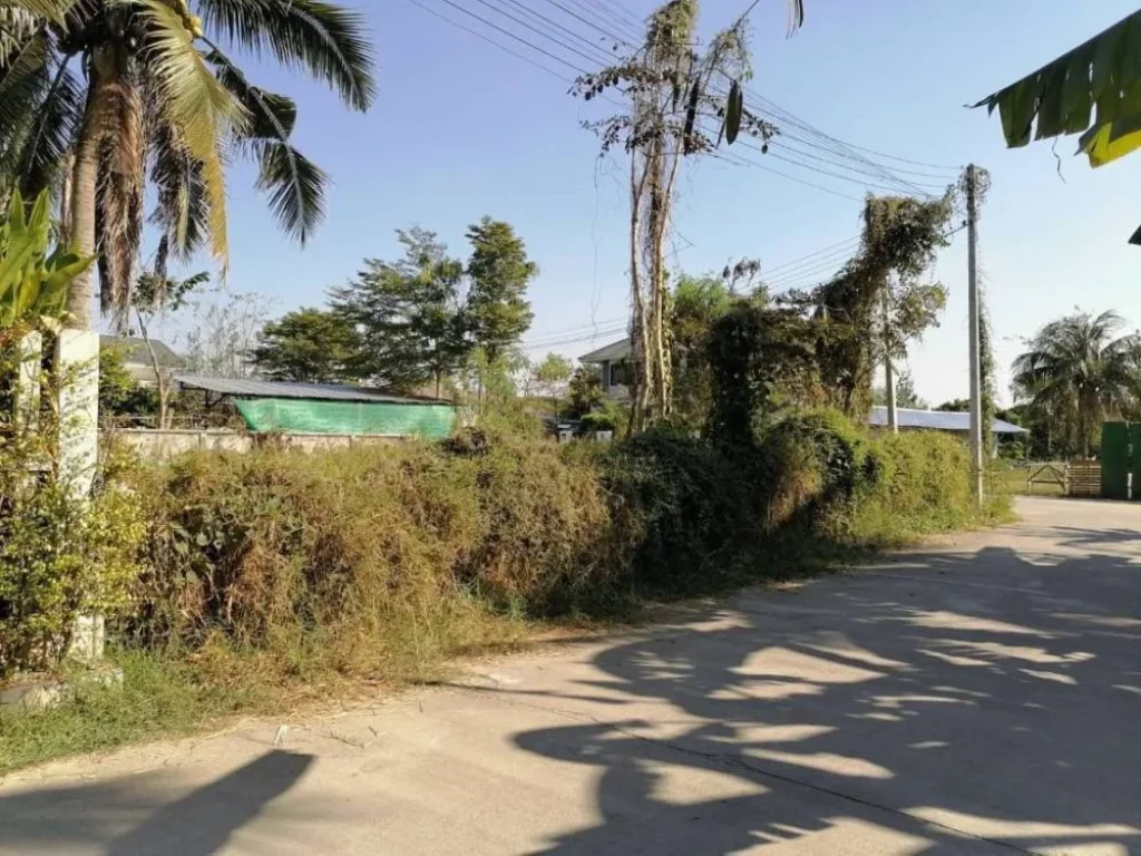 ขายที่ดินติดถนนสองด้าน วังตาล สันผักหวานเชียงใหม่