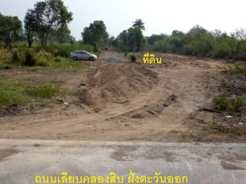 ขายที่ดิน 60ตรว สองแปลง ติดถนนคลองสิบ ถมดินแล้ว ไฟฟ้า ปะปา ผ่อนได้