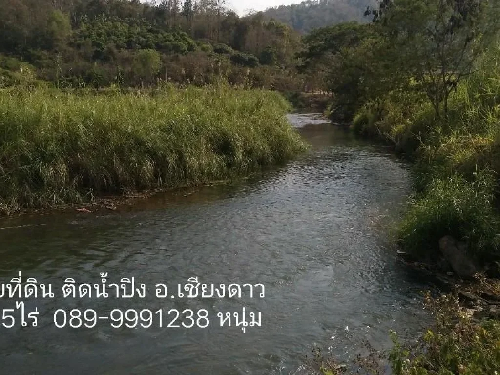 ขายที่ดิน ติดน้ำปิง อเชียงดาว