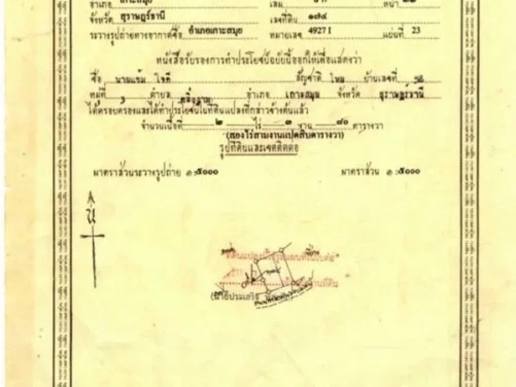 ขายที่ดิน พื้นที่ 2-2-75 ไร่ ตตลิ่งงาม อเกาะสมุย