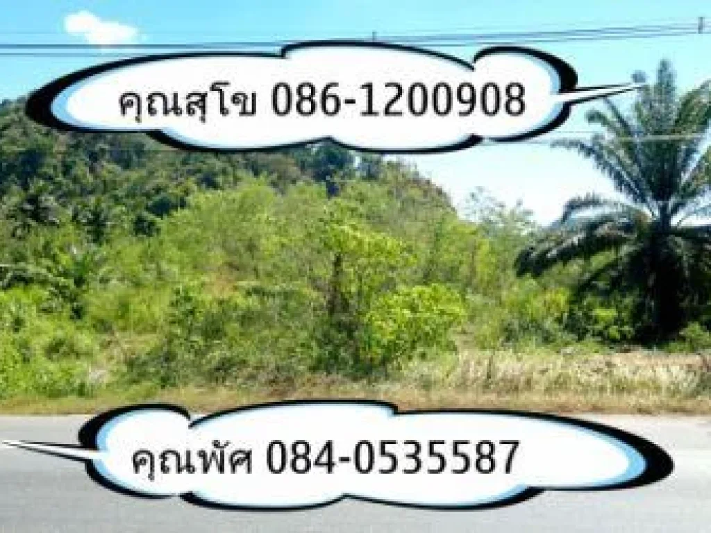 ที่ดินเปล่าติดถนนดำราคา 1500000 บาท